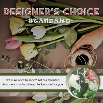 designers choice standard